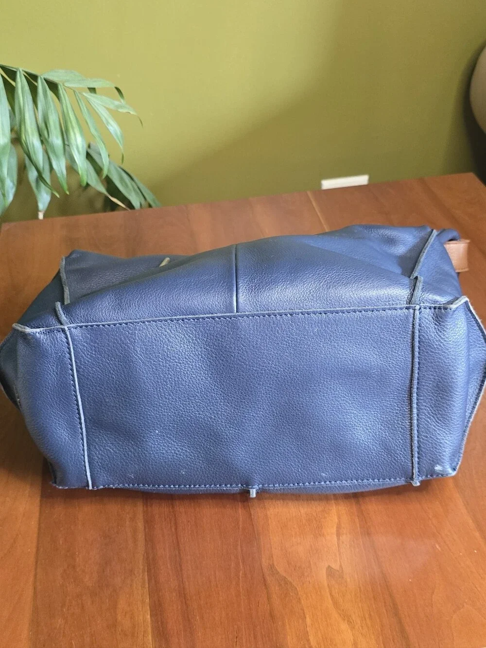The Sak sak los